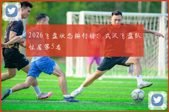 2026飞盘状态排行榜：武汉飞盘队位居第5名