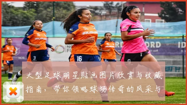 大型足球明星贴画图片欣赏与收藏指南，带你领略球场传奇的风采与魅力