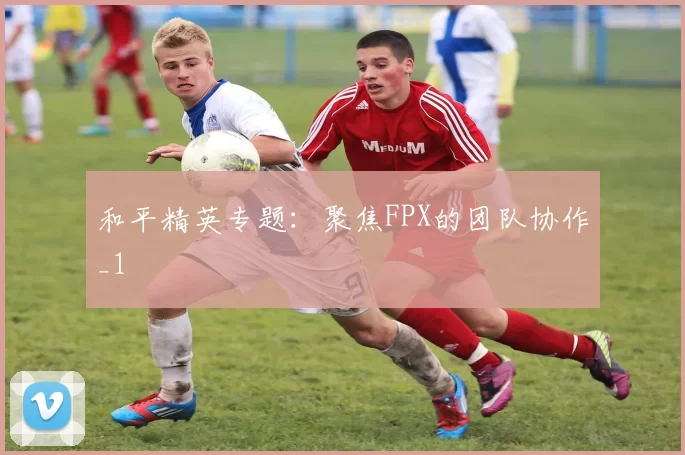 和平精英专题：聚焦FPX的团队协作_1